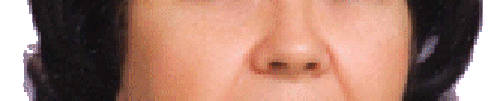 n2.gif (24888 bytes)