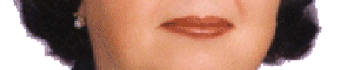 n3.gif (20728 bytes)